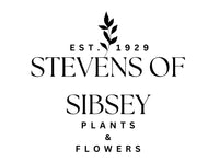 Stevens Of Sibsey